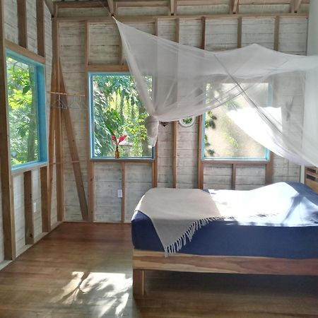 Jungle Paunch Villa Bocas Town Exterior photo