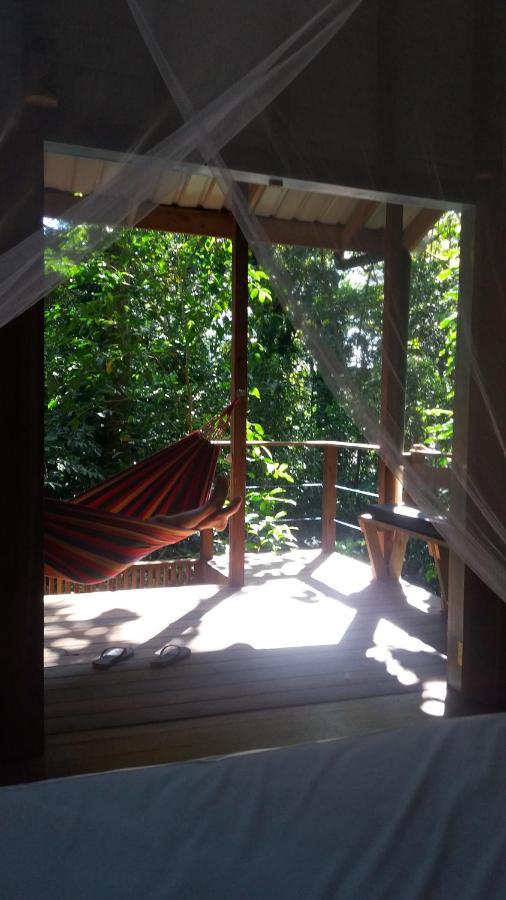 Jungle Paunch Villa Bocas Town Exterior photo