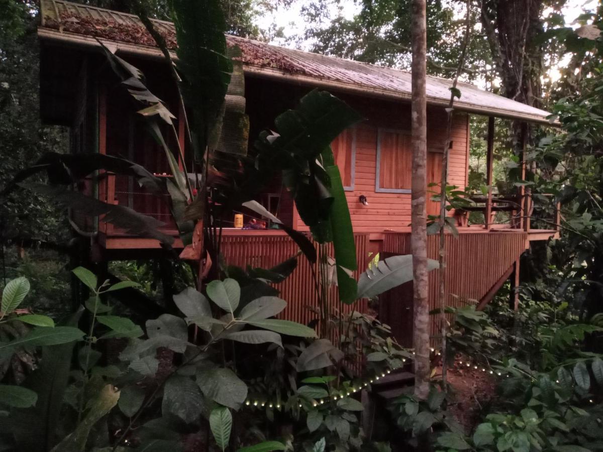 Jungle Paunch Villa Bocas Town Exterior photo