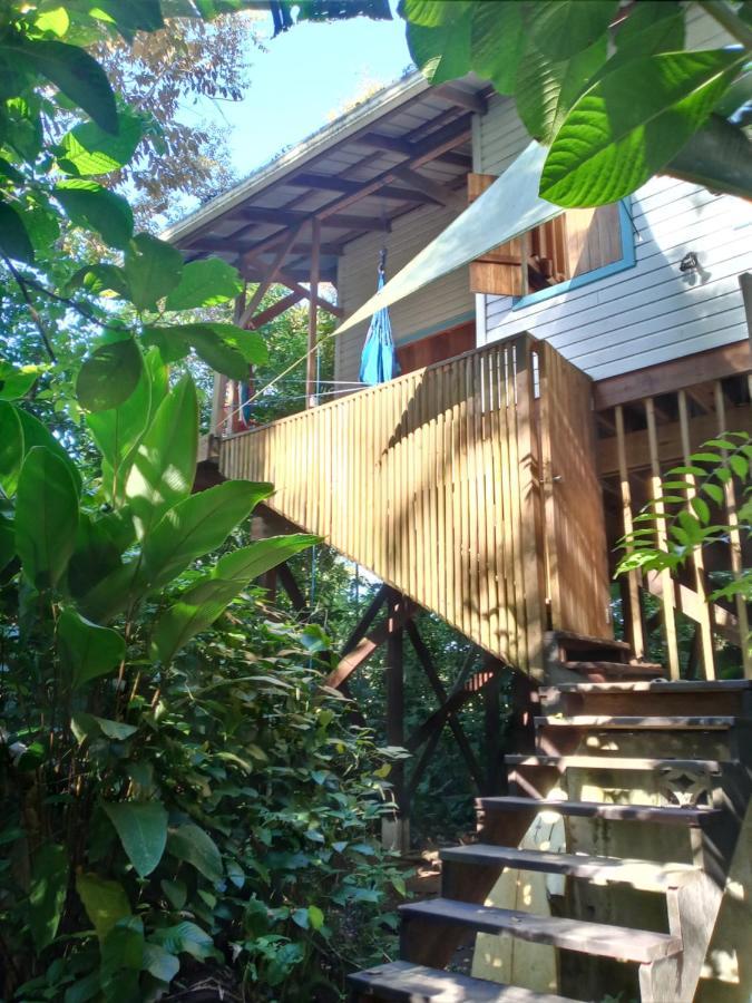 Jungle Paunch Villa Bocas Town Exterior photo