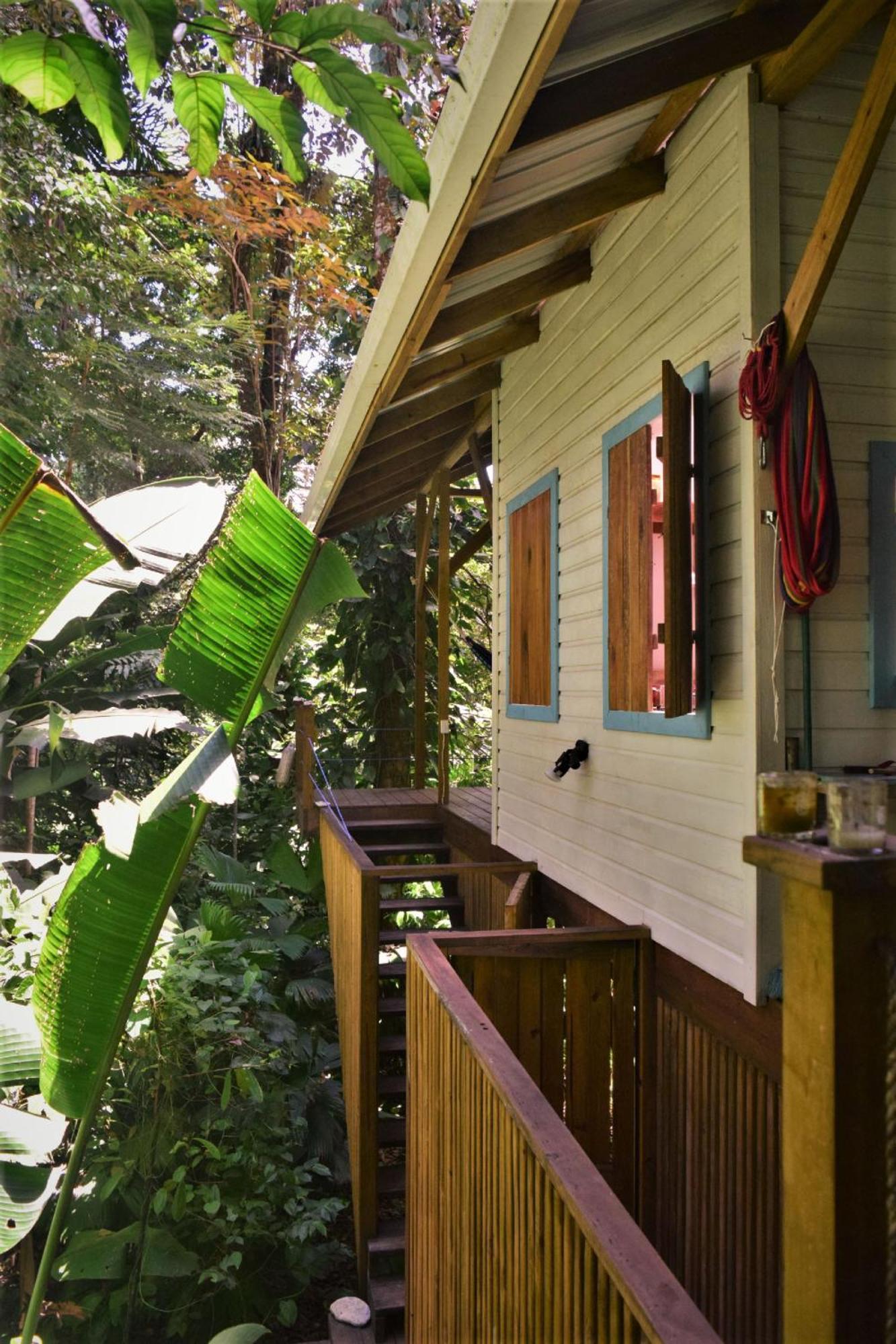 Jungle Paunch Villa Bocas Town Exterior photo